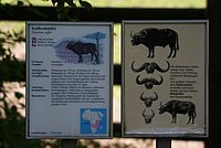 DSC01480.JPG