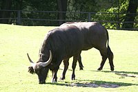 DSC01483.JPG