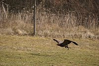 DSC04821.jpg