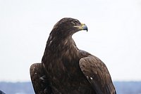 DSC06216.JPG