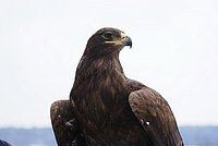 DSC06217.jpg