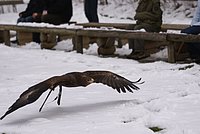 DSC06239.JPG
