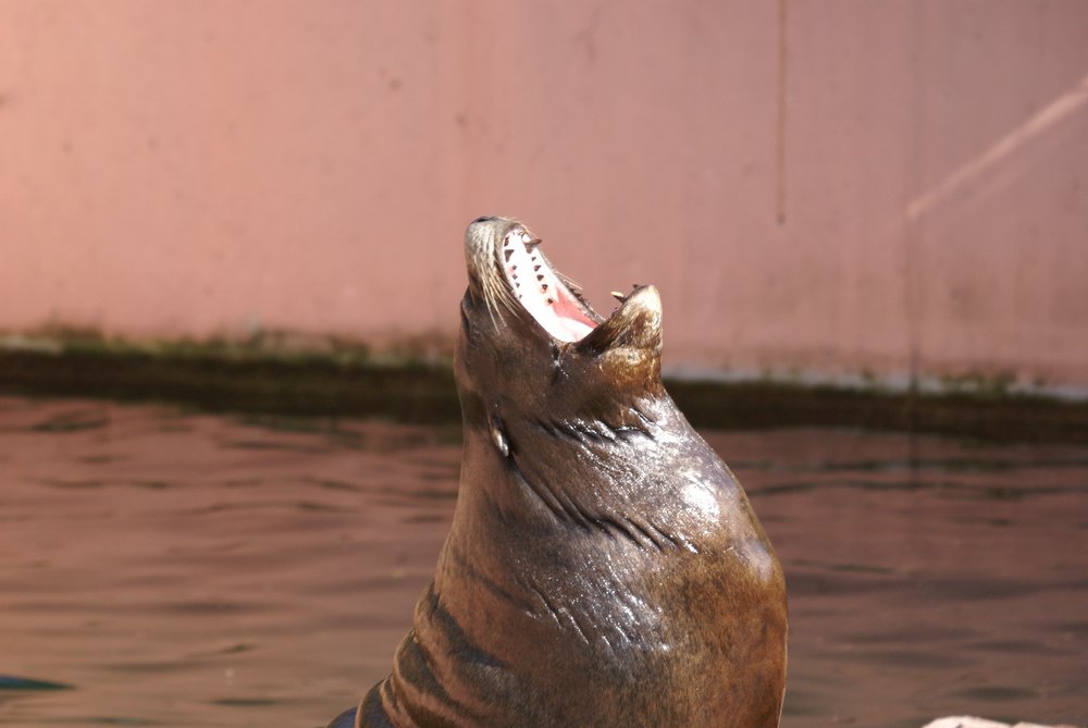 DSC01582.JPG