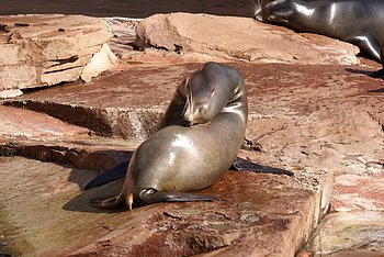 DSC01560.JPG
