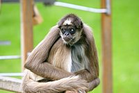 DSC07233.jpg