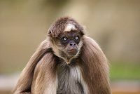 DSC07241.JPG