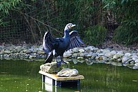 Kormoran2.JPG