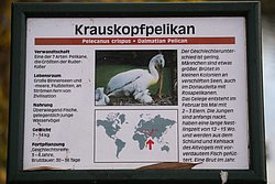 DSC01987.JPG