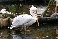 DSC02002.jpg