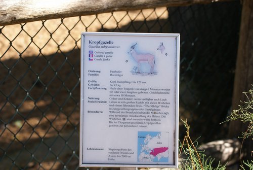 DSC01470.JPG