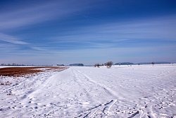 Land-018.JPG