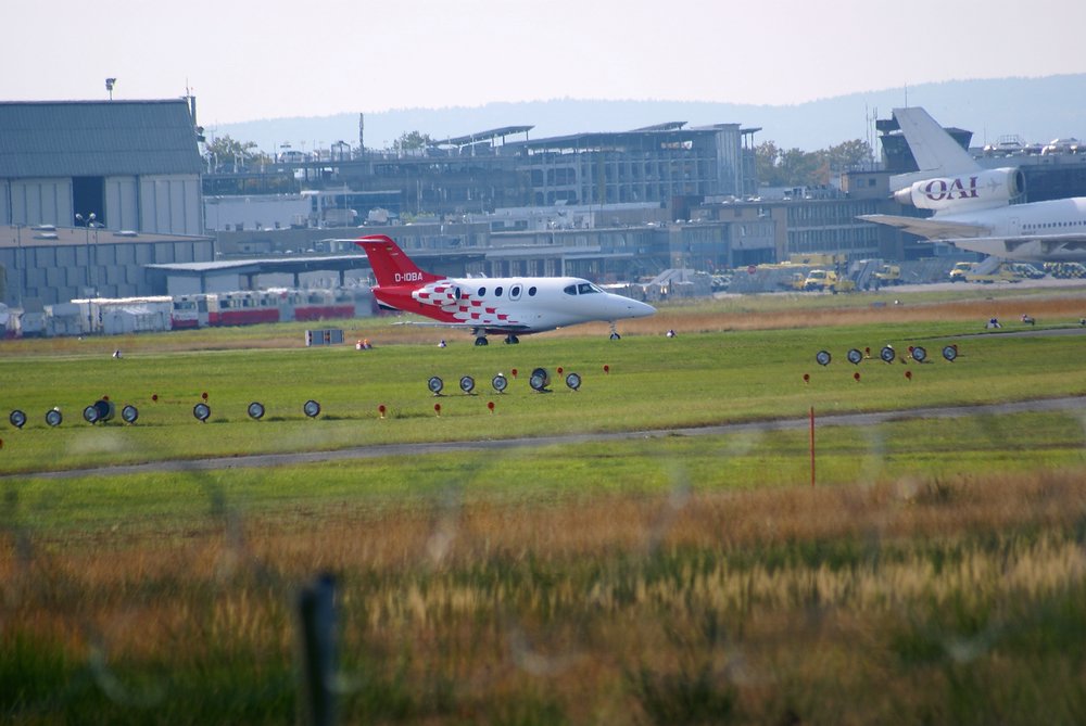 D - IOBA.JPG