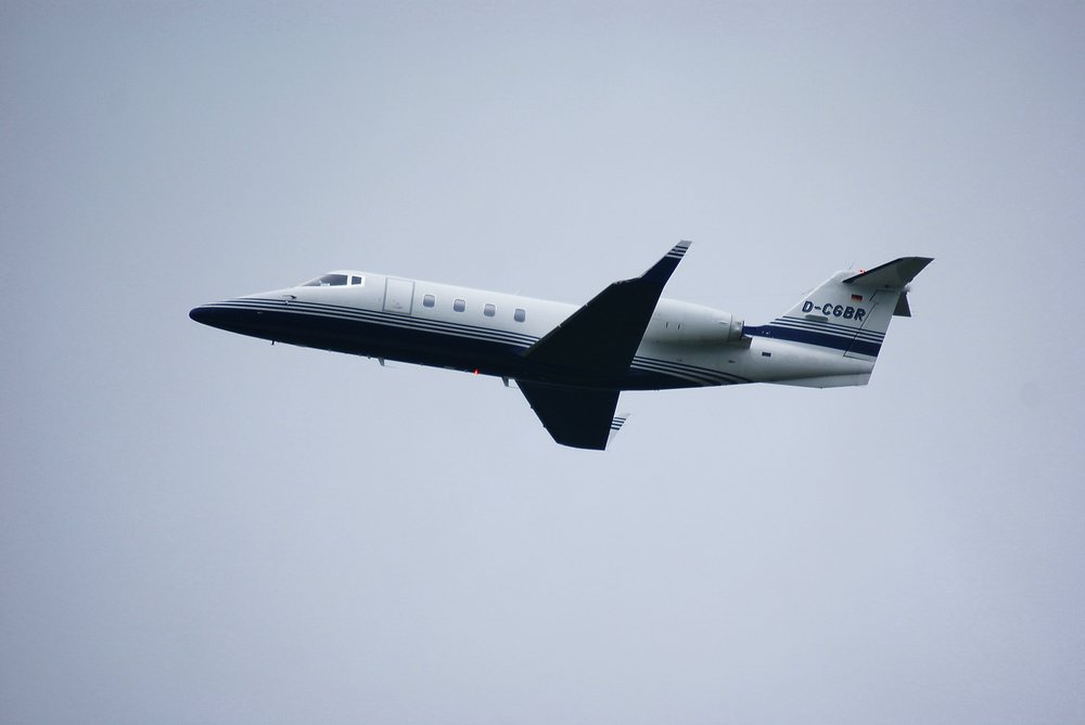 D-CGBR-1.jpg