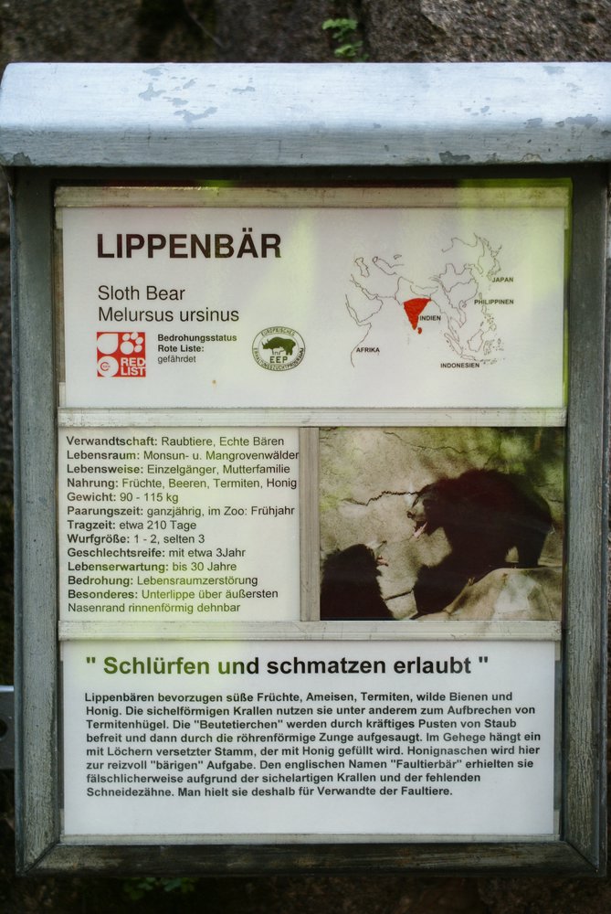 Lippenbaer-5.JPG