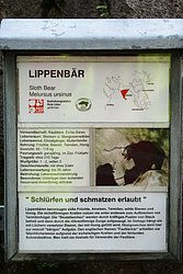 Lippenbaer-5.JPG