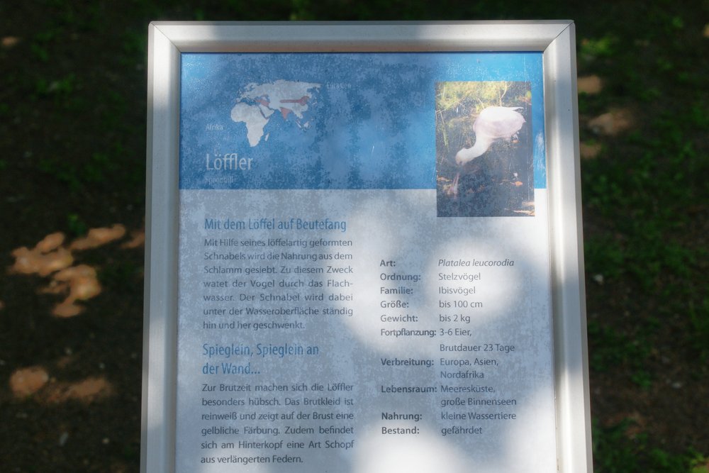 Loeffler-005.JPG