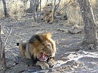 2004_0929_081424AA.JPG