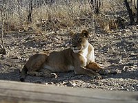 IMAGE0131.jpg