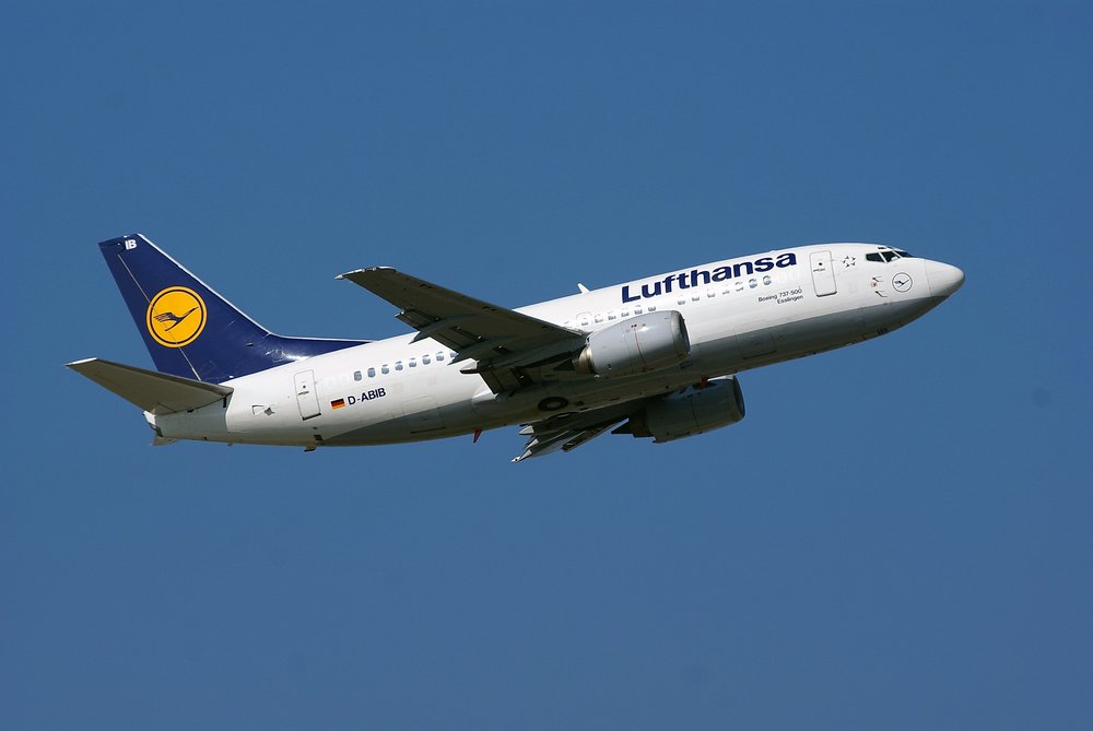 D-ABIB-1.jpg