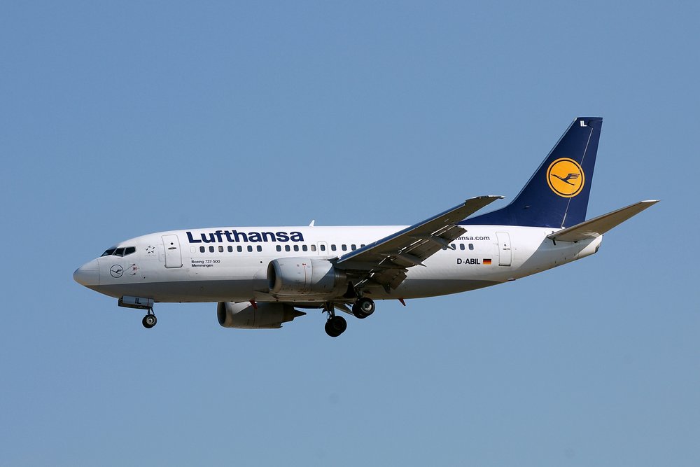 D-ABIL-1.JPG