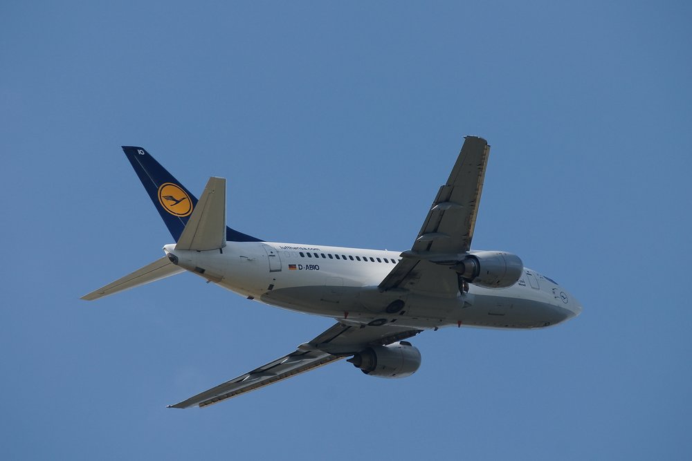 D-ABIO-1.JPG
