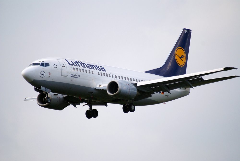 D-ABIP-1.JPG