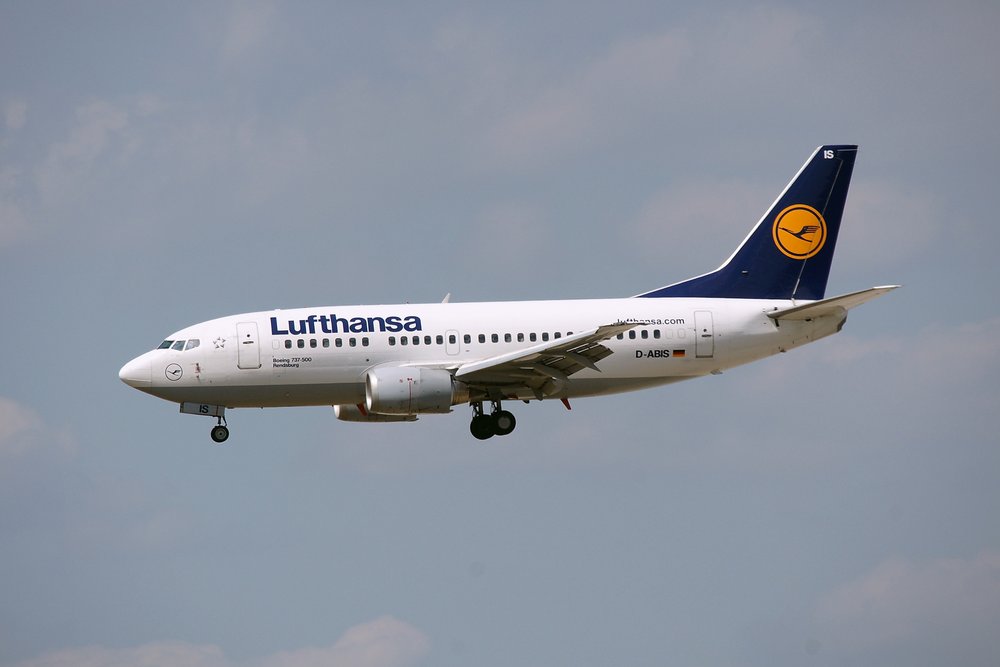 D-ABIS-1.JPG
