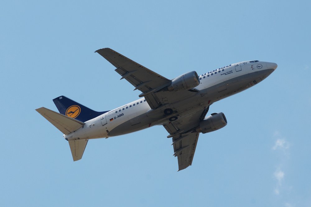 D-ABIS-2.JPG