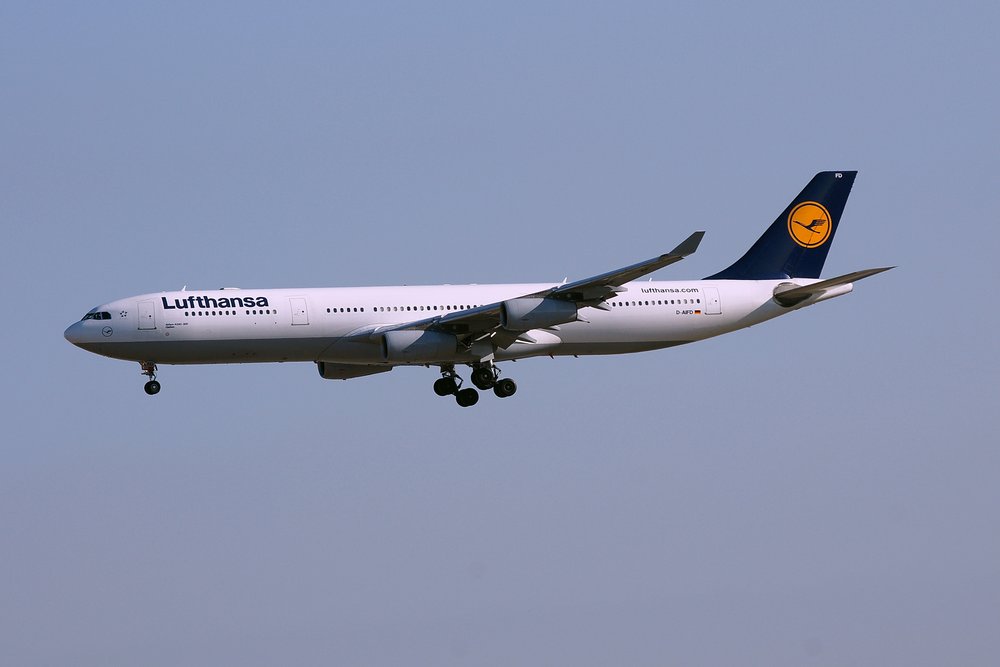 D-AIFD.JPG