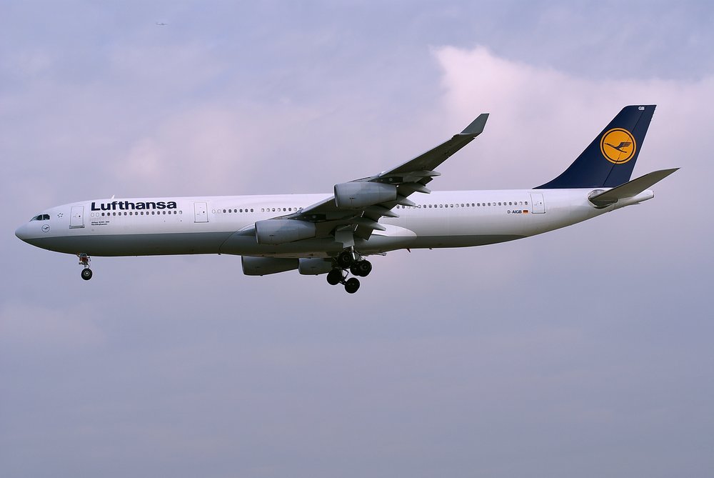D-AIGB.JPG
