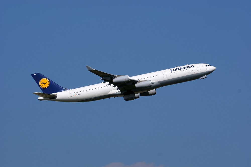 D-AIGR.jpg