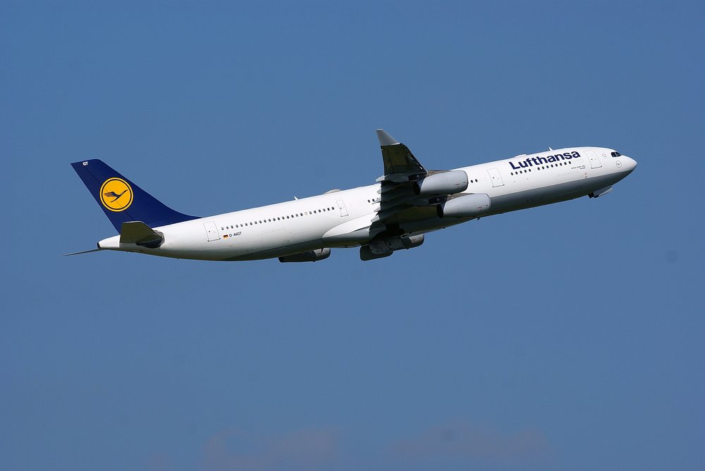 D-AIGT-1.JPG