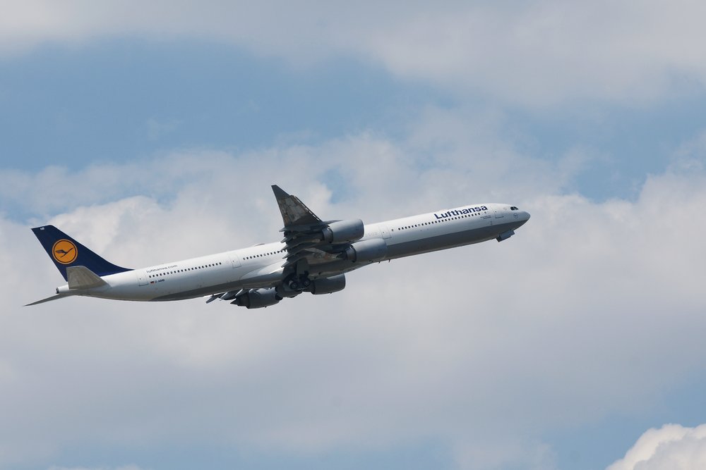 D-AIHB-2.JPG