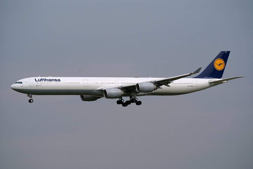D-AIHD.JPG