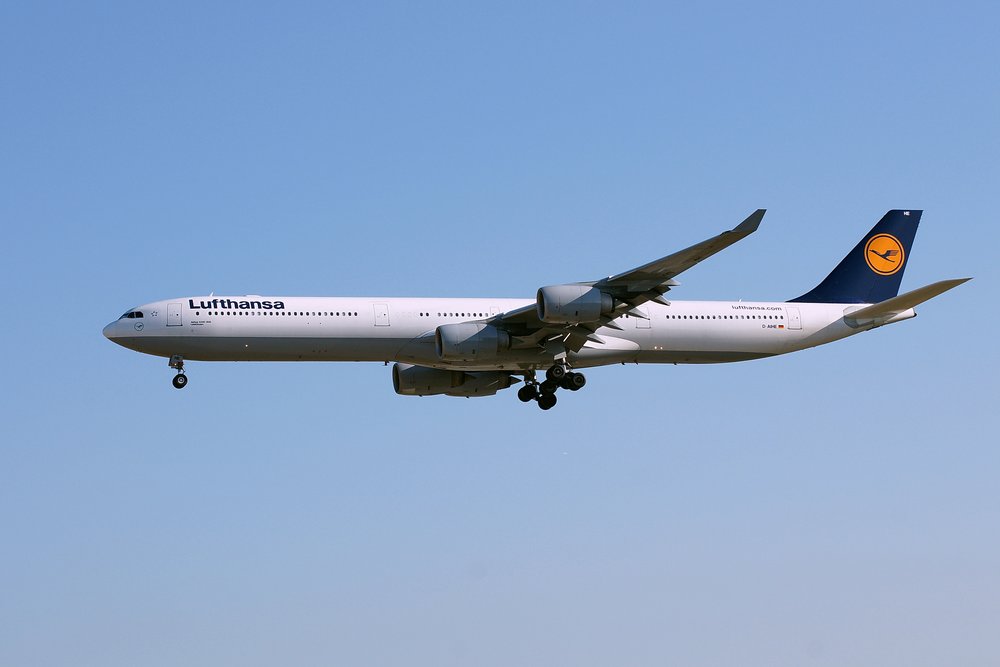 D-AIHE.JPG