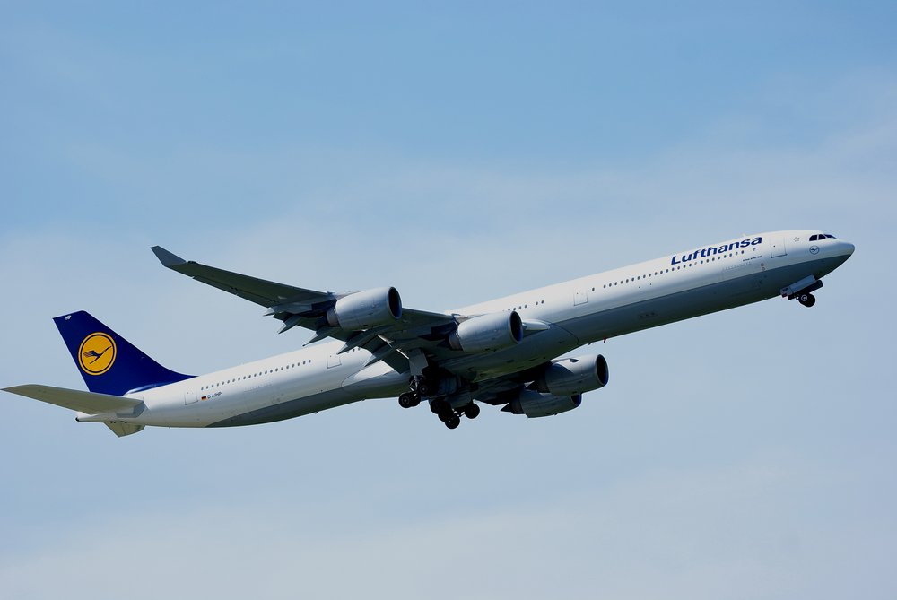 D-AIHP-1.jpg