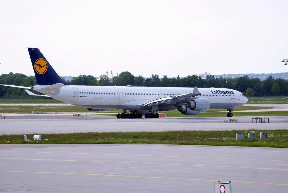 D-AIHQ-1.JPG