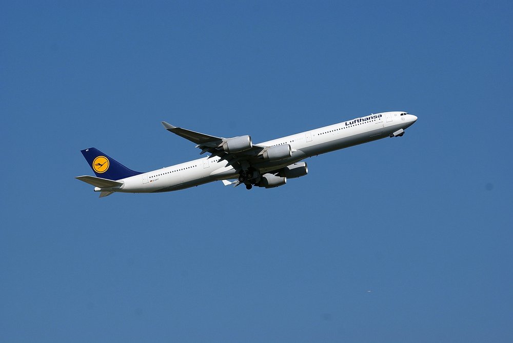 D-AIHT.jpg