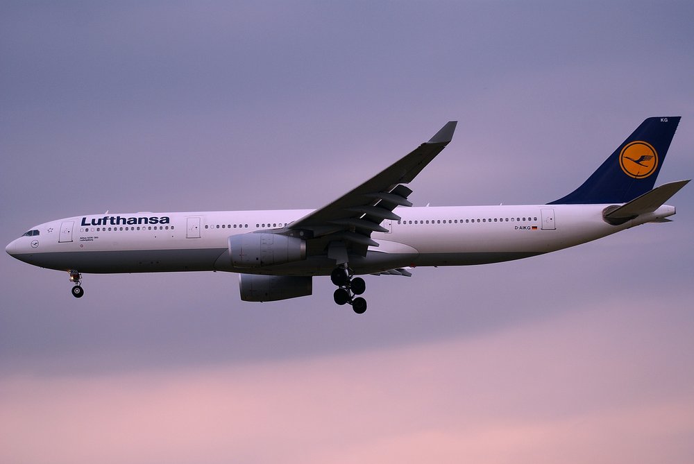 D-AIKG.jpg