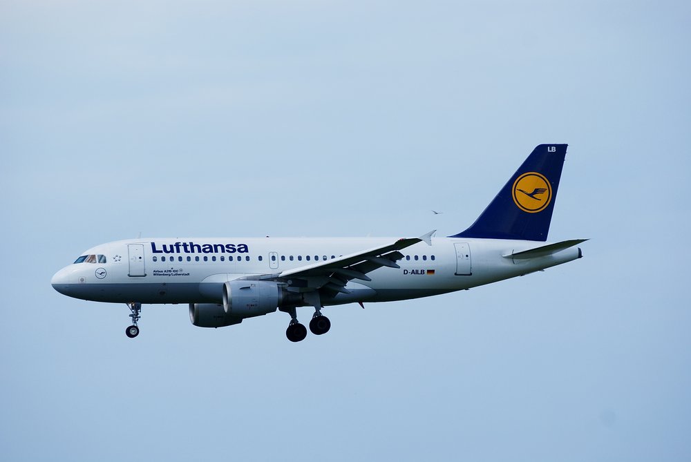 D-AILB-1.JPG