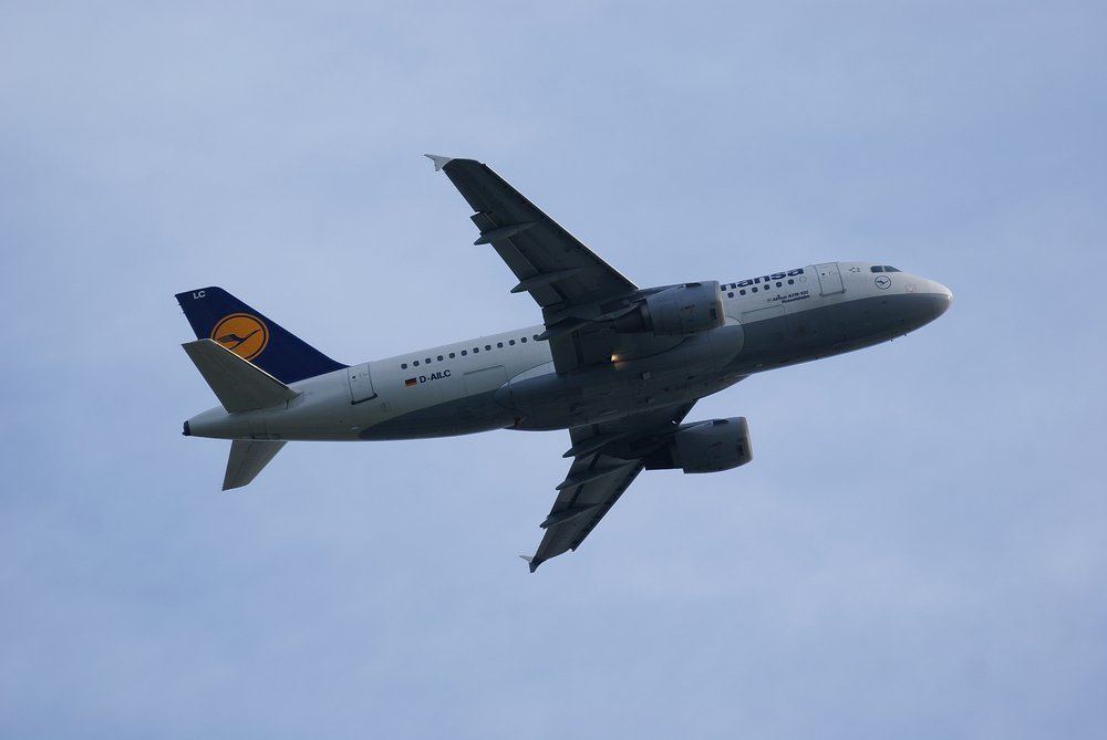 D-AILC-1.JPG