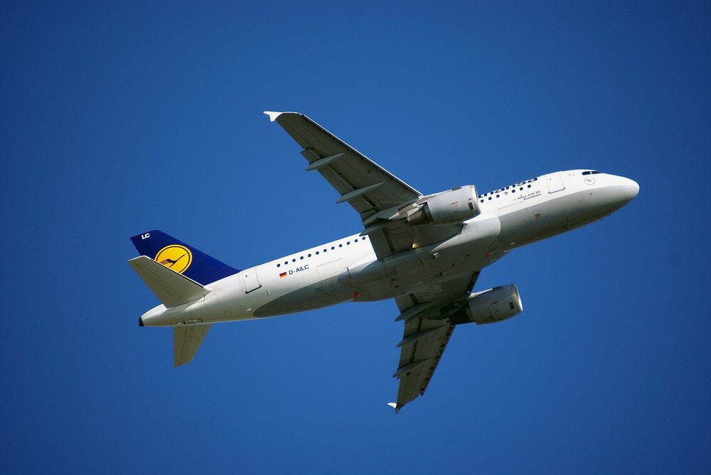 D-AILC-3.JPG