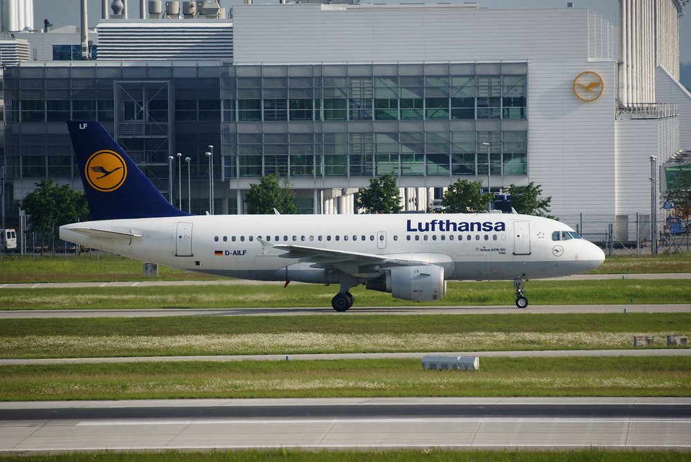D-AILF-1.JPG