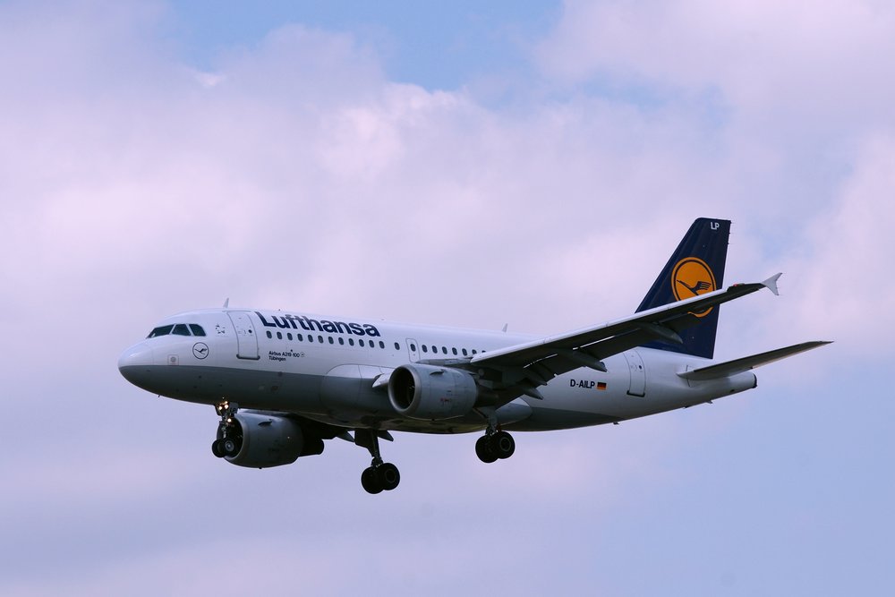 D-AILP.JPG