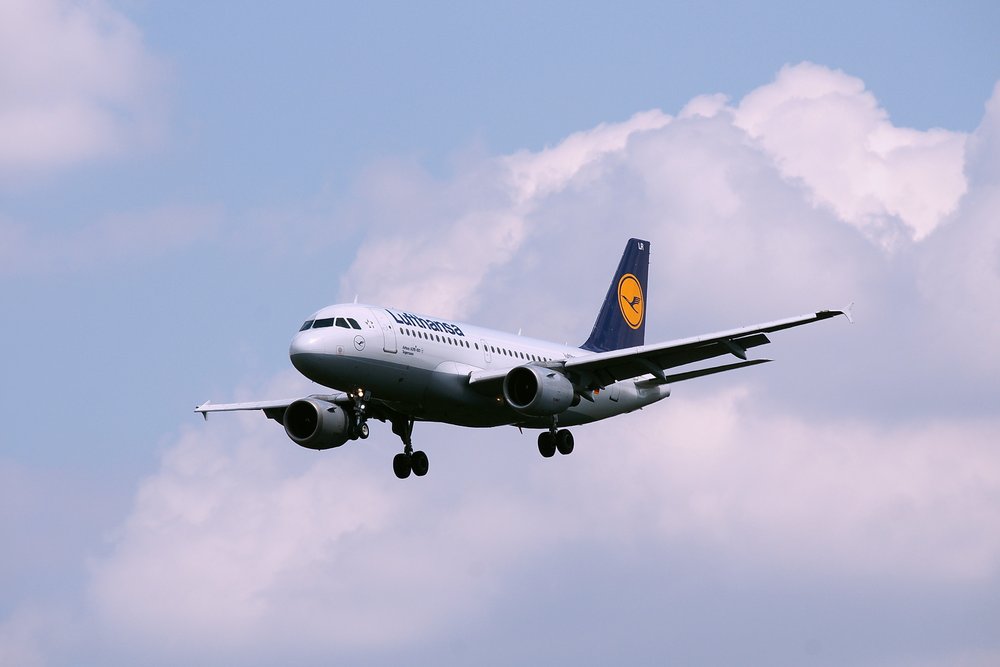 D-AILR-1.JPG