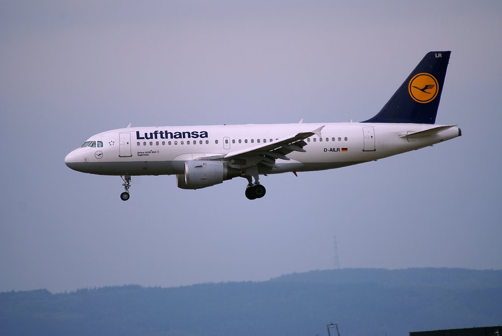 D-AILR.jpg