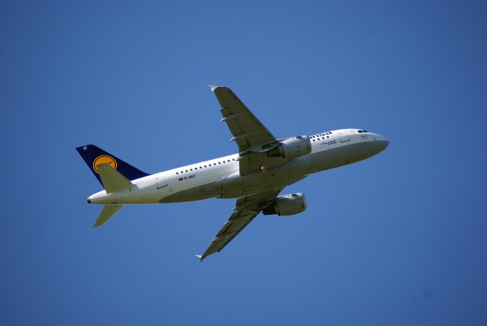 D-AILT-1.JPG