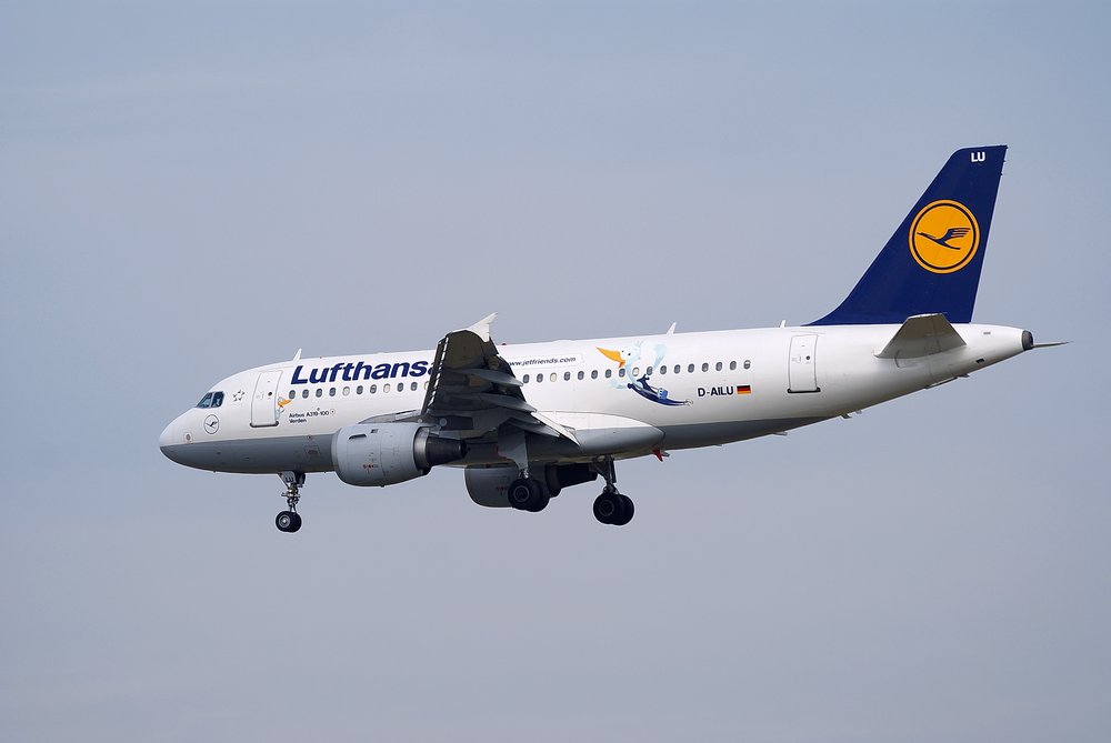 D-AILU-1.JPG
