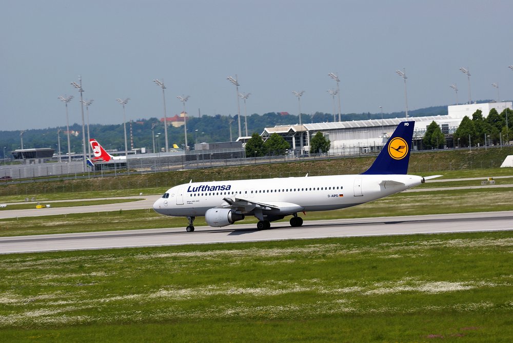 D-AIPD-1.JPG