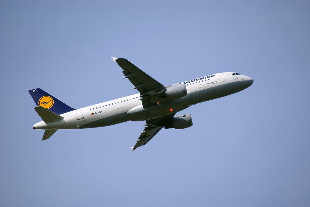 D-AIPD.JPG
